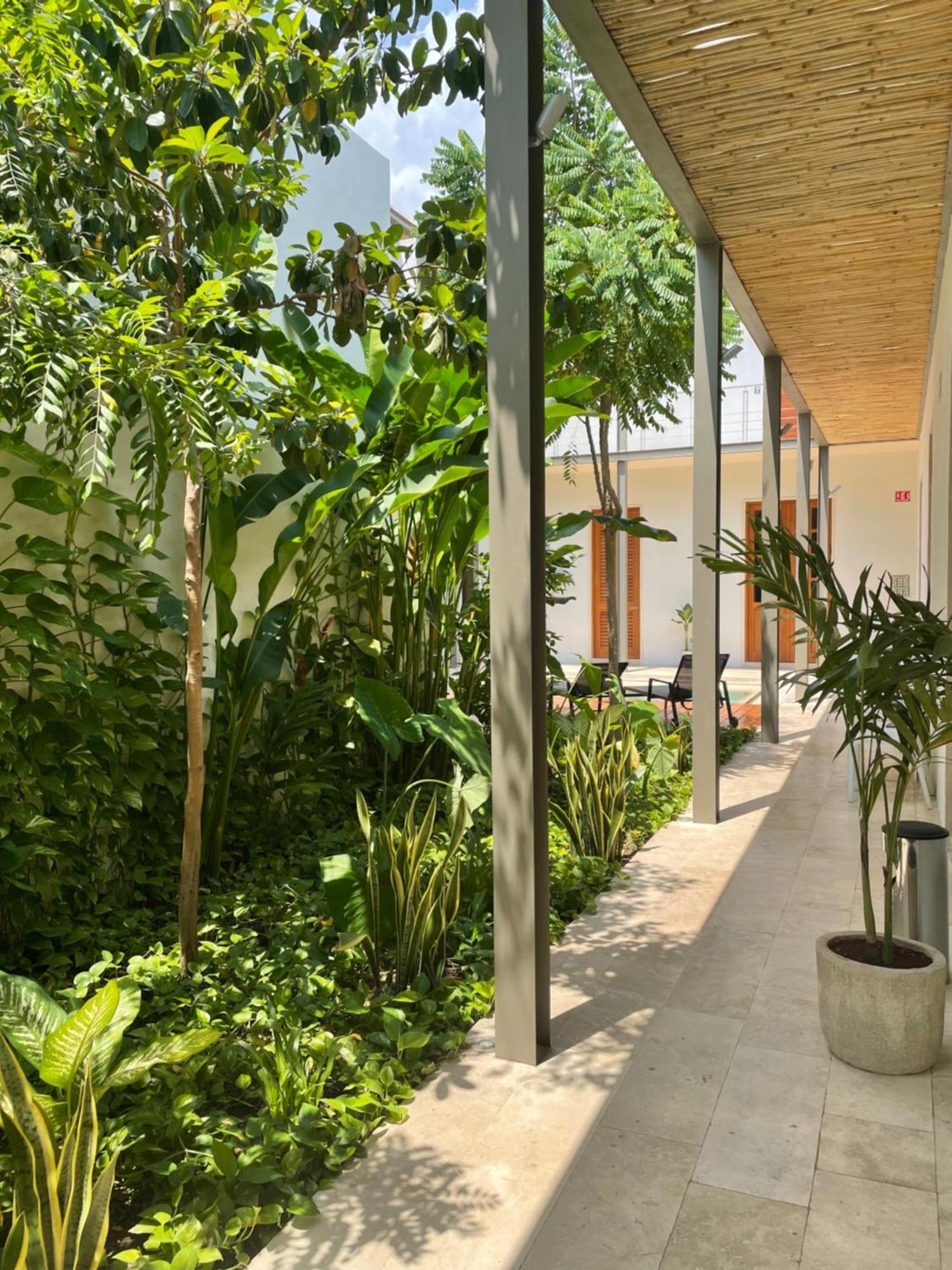 Villa Orquidea Boutique Hotel Mérida Zewnętrze zdjęcie
